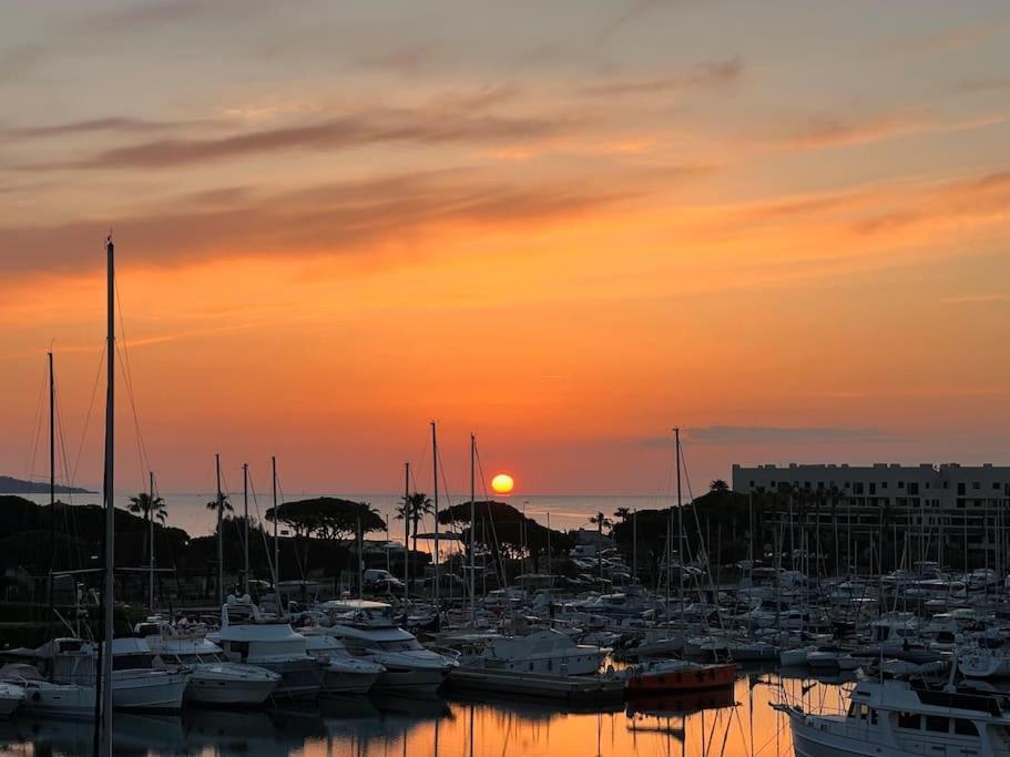L'Atelier Marin Sur Le Port Des Marines Appartement Cogolin Buitenkant foto